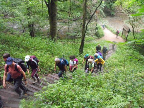 Wycieczka po Pogórzu Wałbrzyskim s50 - PTTK Strzelin