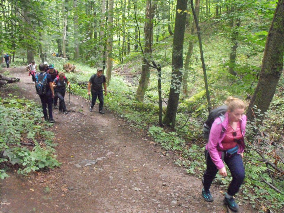 Wycieczka po Pogórzu Wałbrzyskim s002 - PTTK Strzelin