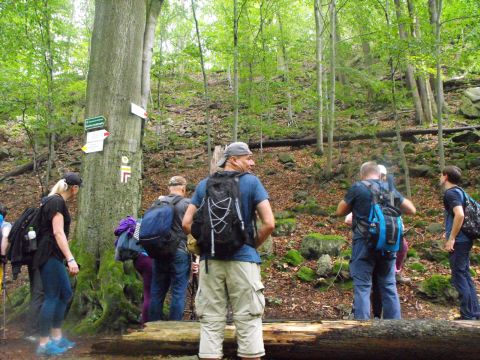 Wycieczka po Pogórzu Wałbrzyskim s64 - PTTK Strzelin