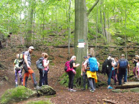 Wycieczka po Pogórzu Wałbrzyskim s65 - PTTK Strzelin