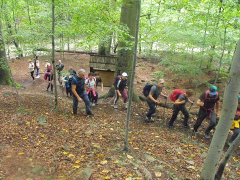 Wycieczka po Pogórzu Wałbrzyskim s66 - PTTK Strzelin