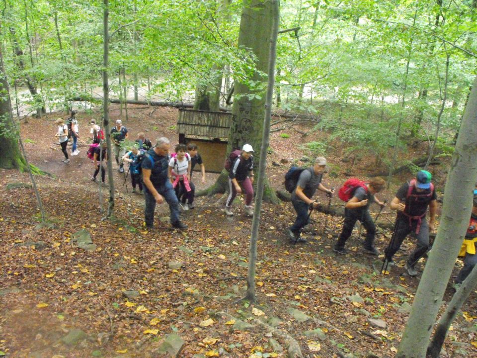 Wycieczka po Pogórzu Wałbrzyskim s002 - PTTK Strzelin