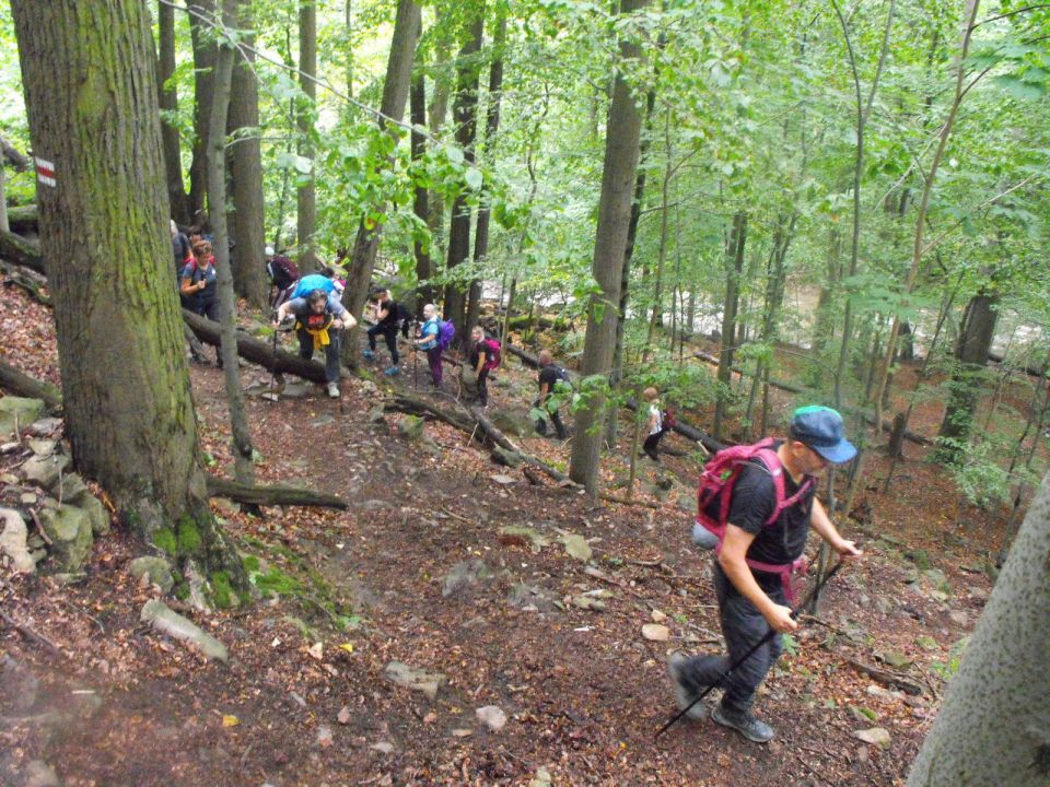 Wycieczka po Pogórzu Wałbrzyskim s002 - PTTK Strzelin