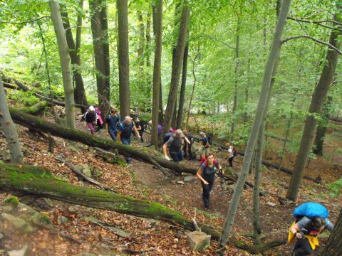 Wycieczka po Pogórzu Wałbrzyskim s68 - PTTK Strzelin