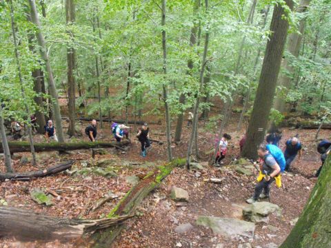 Wycieczka po Pogórzu Wałbrzyskim s69 - PTTK Strzelin