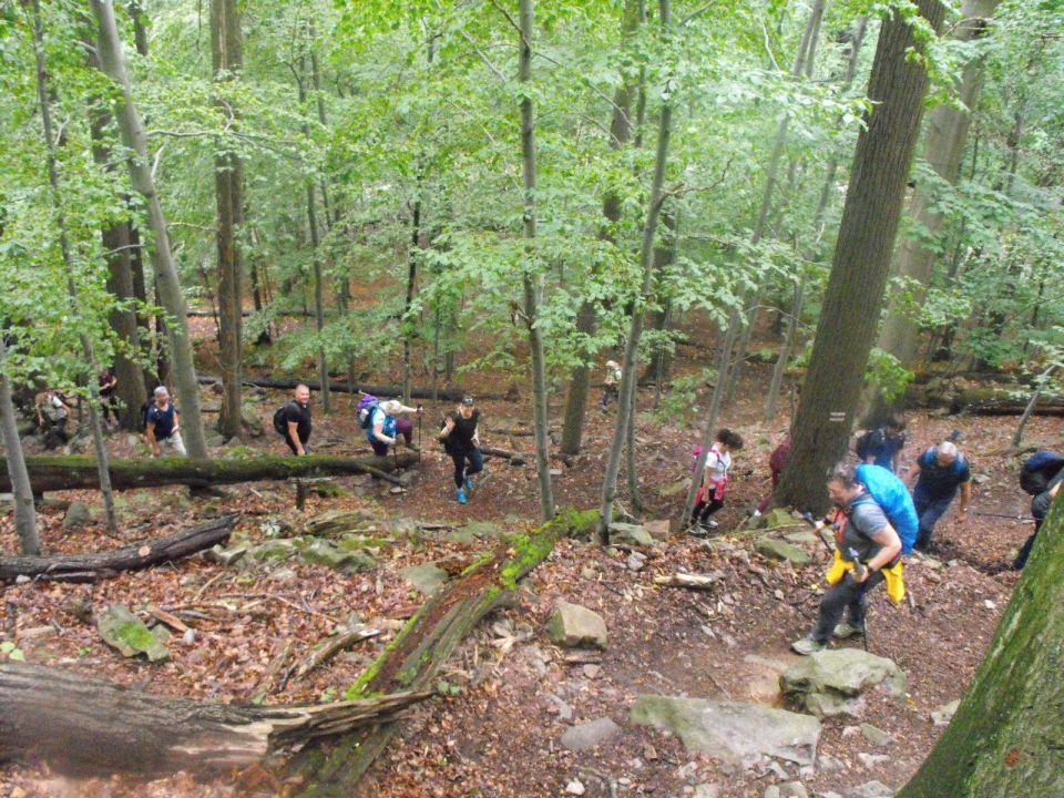 Wycieczka po Pogórzu Wałbrzyskim s002 - PTTK Strzelin