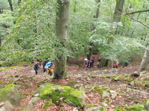 Wycieczka po Pogórzu Wałbrzyskim s70 - PTTK Strzelin