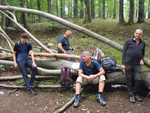 Wycieczka po Pogórzu Wałbrzyskim s91 - PTTK Strzelin