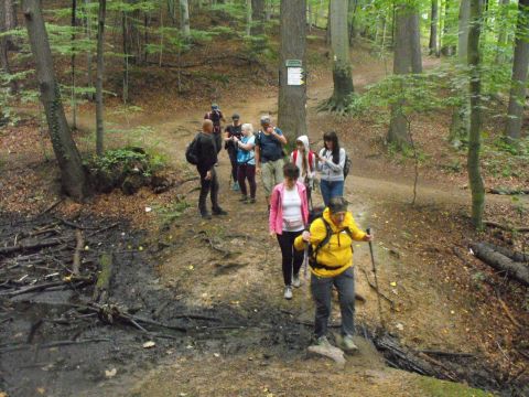 Wycieczka po Pogórzu Wałbrzyskim s97 - PTTK Strzelin