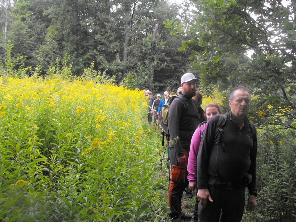 Wycieczka po Pogórzu Wałbrzyskim s002 - PTTK Strzelin