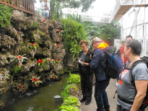 Wycieczka po Pogórzu Wałbrzyskim s102 - PTTK Strzelin