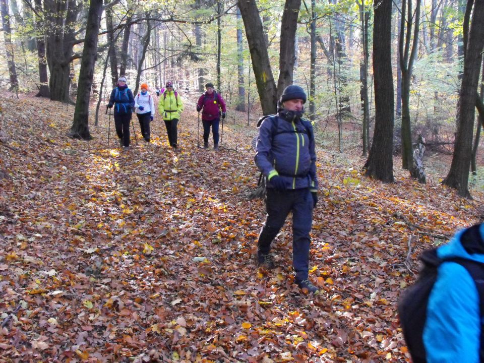 Wycieczka po Górach Wałbrzyskich s002 - PTTK Strzelin