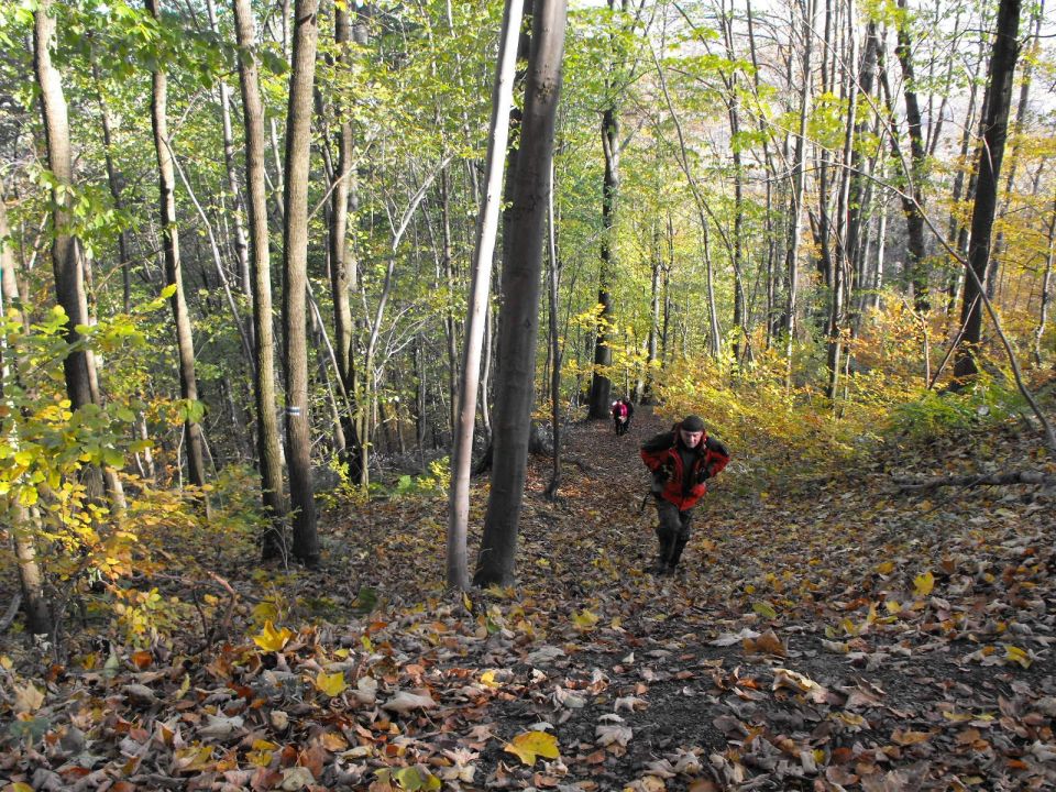 Wycieczka po Górach Wałbrzyskich s002 - PTTK Strzelin