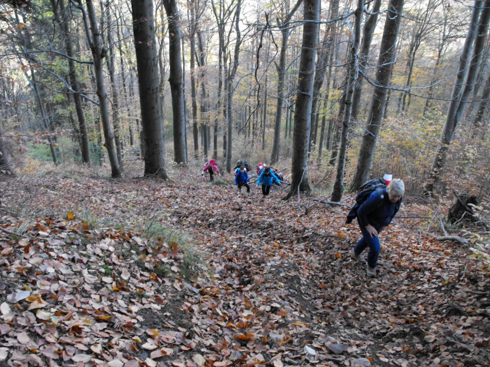 Wycieczka po Górach Wałbrzyskich s002 - PTTK Strzelin