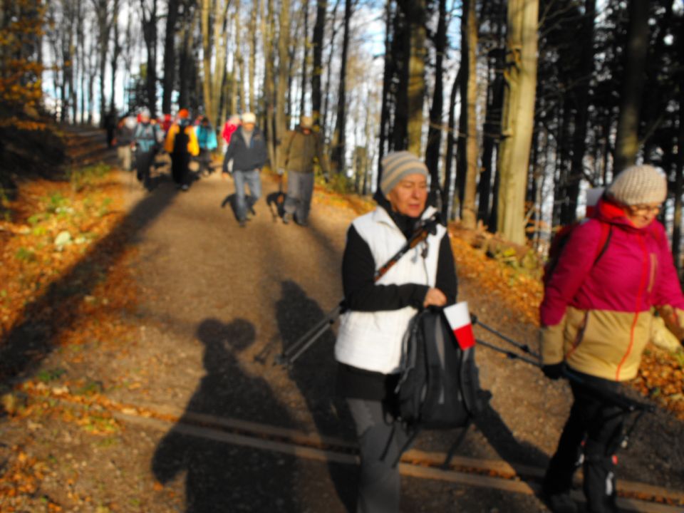Wycieczka po Górach Wałbrzyskich s002 - PTTK Strzelin