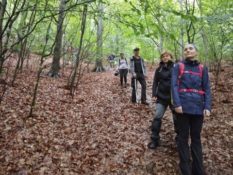 Wycieczka po Górach Wałbrzyskich s34 - PTTK Strzelin