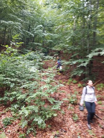 Wycieczka po Górach Wałbrzyskich s36 - PTTK Strzelin