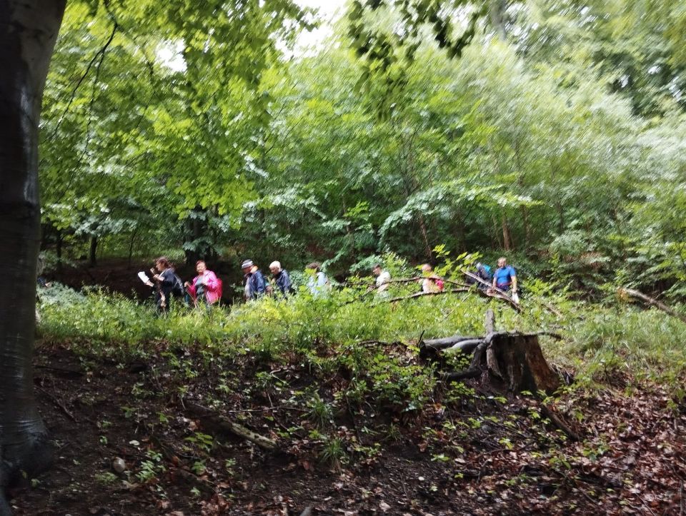 Wycieczka po Górach Wałbrzyskich s002 - PTTK Strzelin