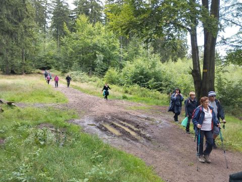 Wycieczka po Górach Wałbrzyskich s92 - PTTK Strzelin