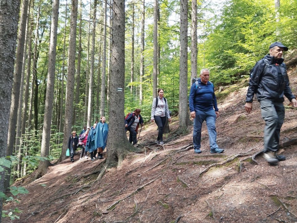 Wycieczka po Górach Wałbrzyskich s002 - PTTK Strzelin