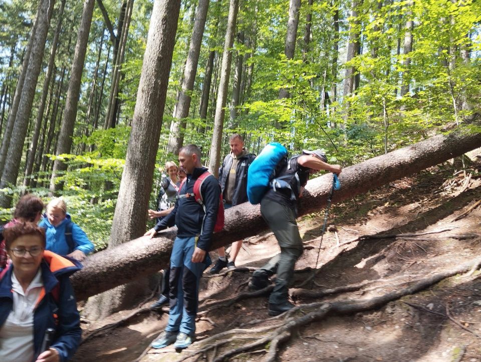 Wycieczka po Górach Wałbrzyskich s002 - PTTK Strzelin