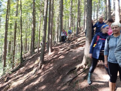 Wycieczka po Górach Wałbrzyskich s100 - PTTK Strzelin