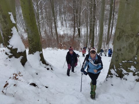 Wycieczka po Górach Wałbrzyskich s9 - PTTK Strzelin