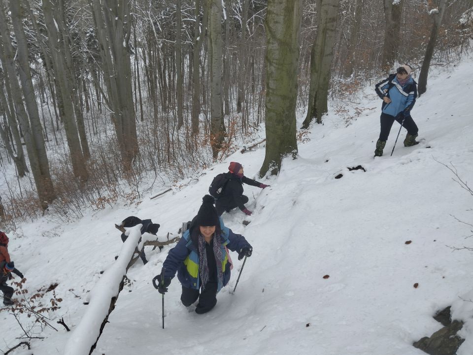 Wycieczka po Górach Wałbrzyskich s002 - PTTK Strzelin