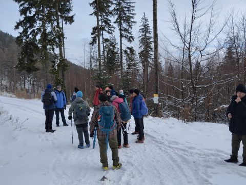 Wycieczka po Górach Wałbrzyskich s85 - PTTK Strzelin