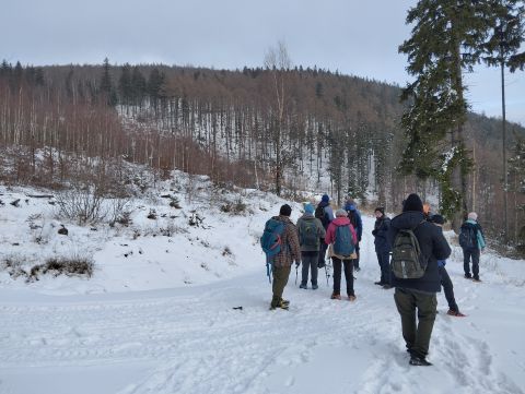 Wycieczka po Górach Wałbrzyskich s86 - PTTK Strzelin