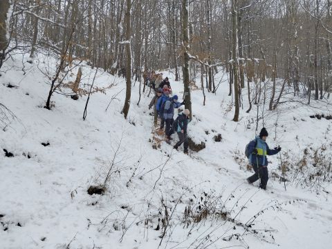 Wycieczka po Górach Wałbrzyskich s119 - PTTK Strzelin