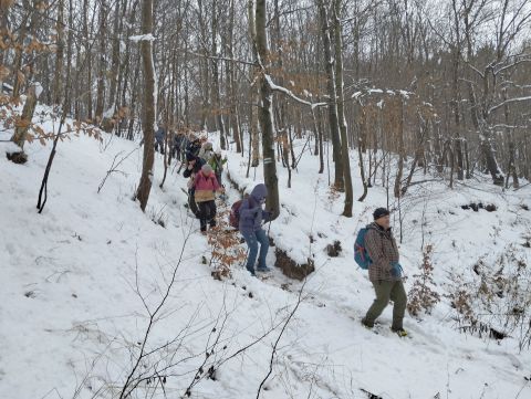 Wycieczka po Górach Wałbrzyskich s120 - PTTK Strzelin