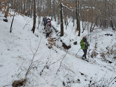 Wycieczka po Górach Wałbrzyskich s121 - PTTK Strzelin