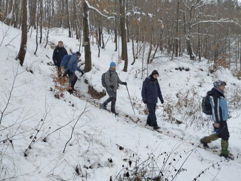 Wycieczka po Górach Wałbrzyskich s123 - PTTK Strzelin