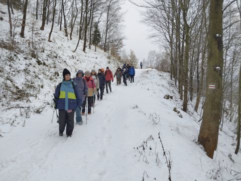 Wycieczka po Górach Wałbrzyskich s135 - PTTK Strzelin