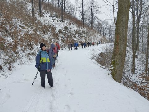 Wycieczka po Górach Wałbrzyskich s136 - PTTK Strzelin