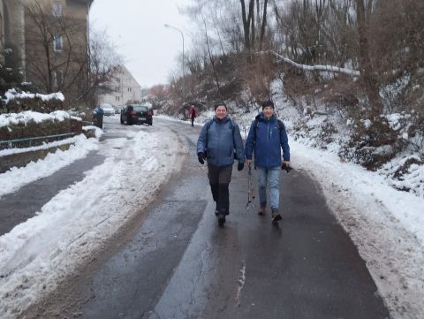 Wycieczka po Górach Wałbrzyskich s141 - PTTK Strzelin