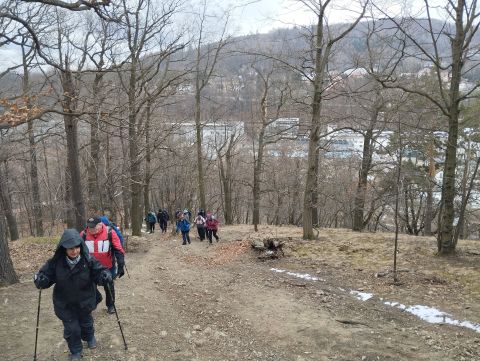 Wycieczka po Pogórzu Wałbrzyskim m5 - PTTK Strzelin