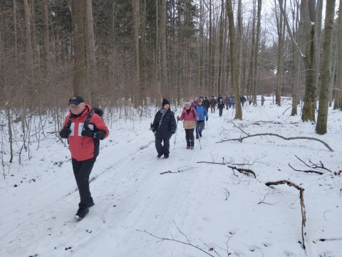 Wycieczka po Pogórzu Wałbrzyskim m11 - PTTK Strzelin