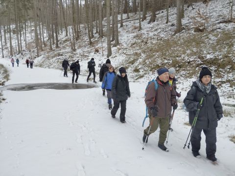 Wycieczka po Pogórzu Wałbrzyskim m12 - PTTK Strzelin