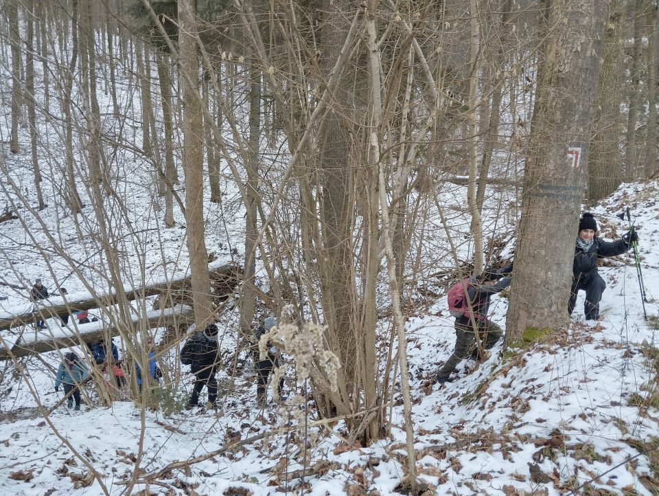 Wycieczka po Pogórzu Wałbrzyskim dz15 - PTTK Strzelin