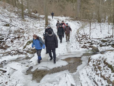Wycieczka po Pogórzu Wałbrzyskim m16 - PTTK Strzelin