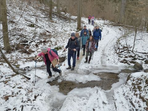 Wycieczka po Pogórzu Wałbrzyskim m18 - PTTK Strzelin
