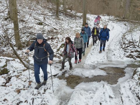 Wycieczka po Pogórzu Wałbrzyskim m19 - PTTK Strzelin