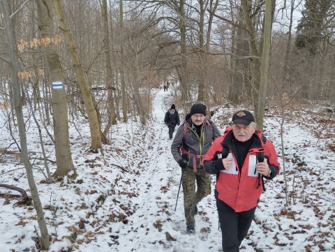 Wycieczka po Pogórzu Wałbrzyskim m26 - PTTK Strzelin