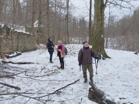 Wycieczka po Pogórzu Wałbrzyskim m42 - PTTK Strzelin