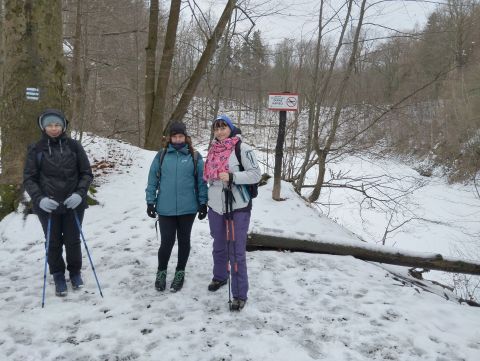 Wycieczka po Pogórzu Wałbrzyskim m49 - PTTK Strzelin