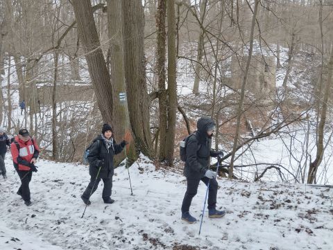 Wycieczka po Pogórzu Wałbrzyskim m51 - PTTK Strzelin