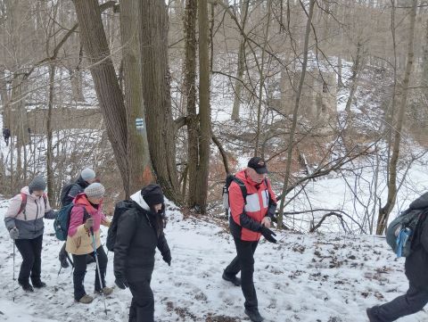 Wycieczka po Pogórzu Wałbrzyskim m52 - PTTK Strzelin