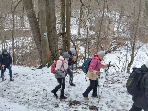 Wycieczka po Pogórzu Wałbrzyskim m53 - PTTK Strzelin